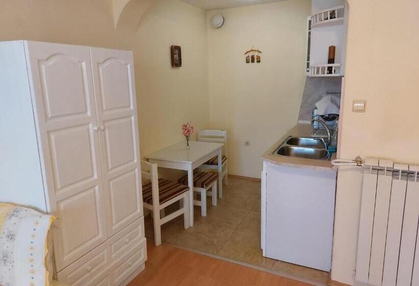 סטודיו סטנדרט עם מרפסת, Primorski Briz Guest House