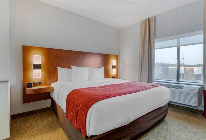 Люкс Адаптированный для Инвалидов, Comfort Suites