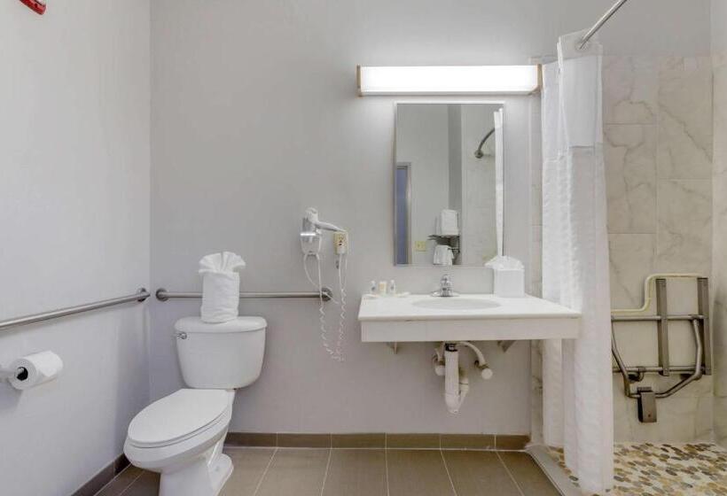 סוויטה מותאמת לאדם עם מוגבלויות, Comfort Suites