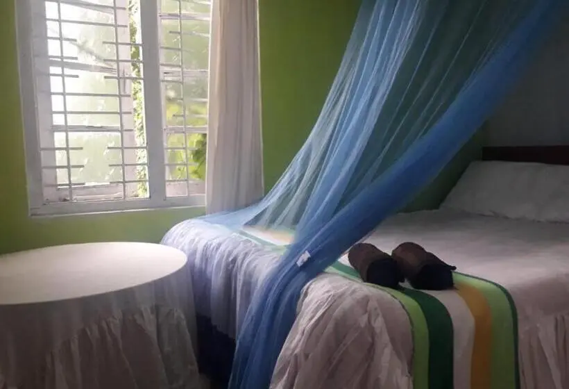 Chambre Standard, Cloud Nine