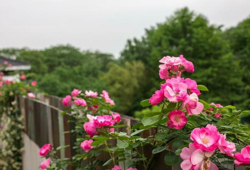 Standard-huone, Hangzhou Yushu Boutique