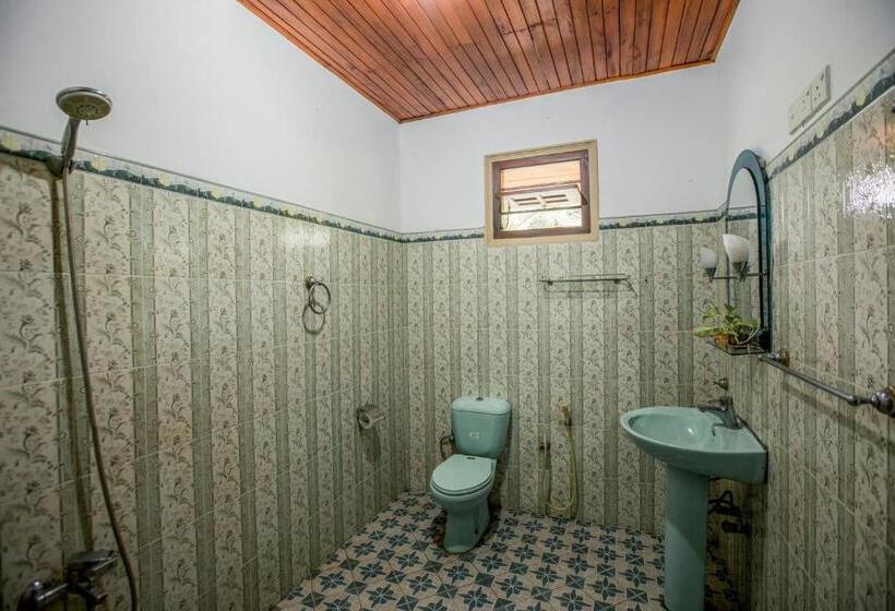 اتاق عادی, Three Shades