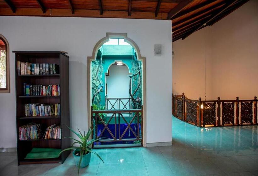 اتاق لوکس با تخت بزرگ, Three Shades