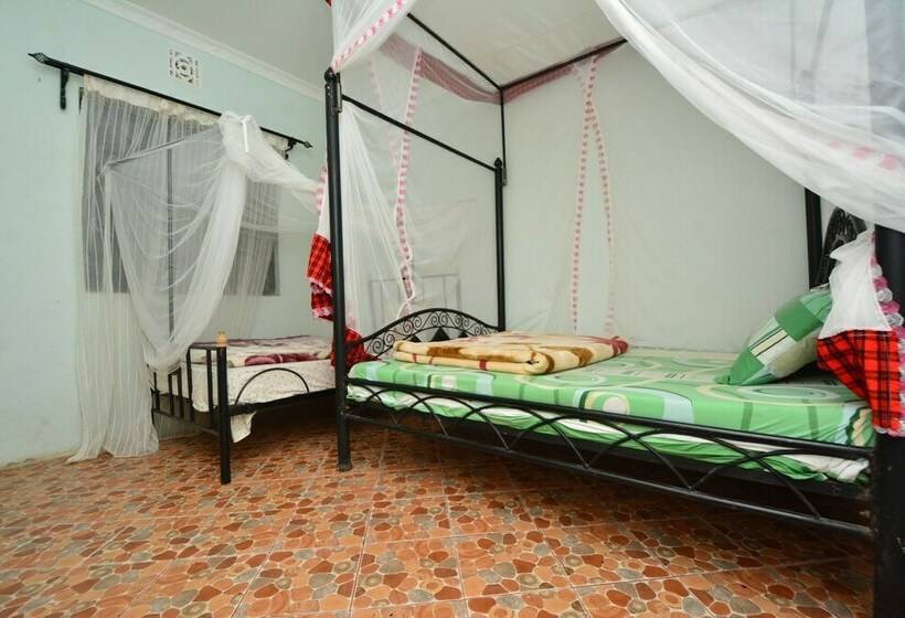 Номер Стандарт, Lionsgate Hostel