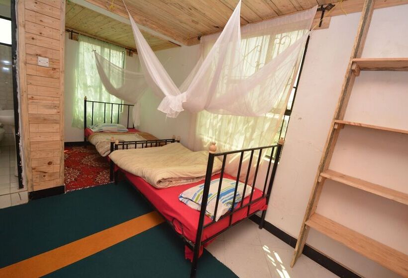 Номер Стандарт, Lionsgate Hostel