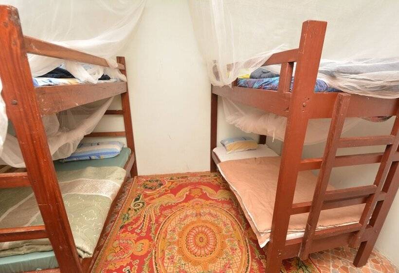 Кровать в Общей Комнате, Lionsgate Hostel