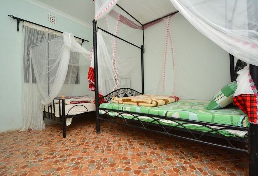 Номер Стандарт, Lionsgate Hostel