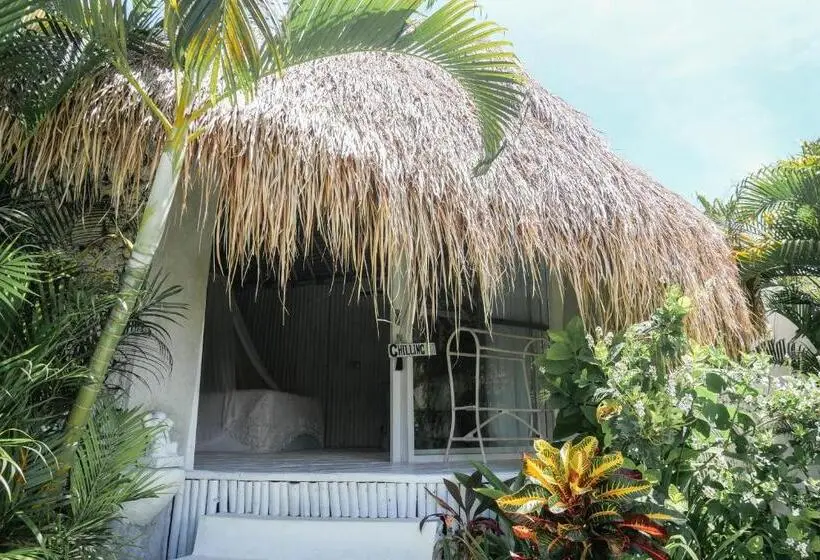 بانگلوی استاندارد, Gravity Eco Boutique Hotel   Adults Only