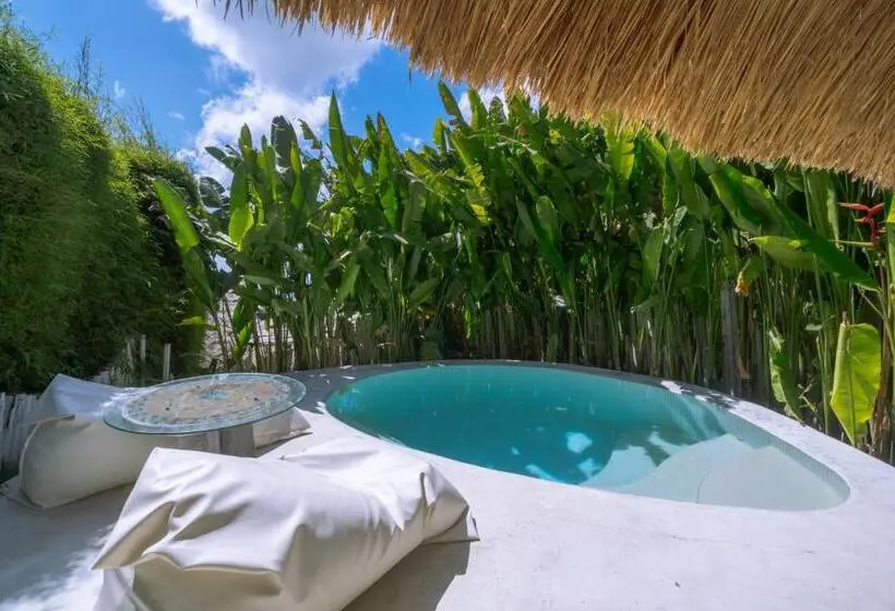 بانگلوی استاندارد, Gravity Eco Boutique Hotel   Adults Only