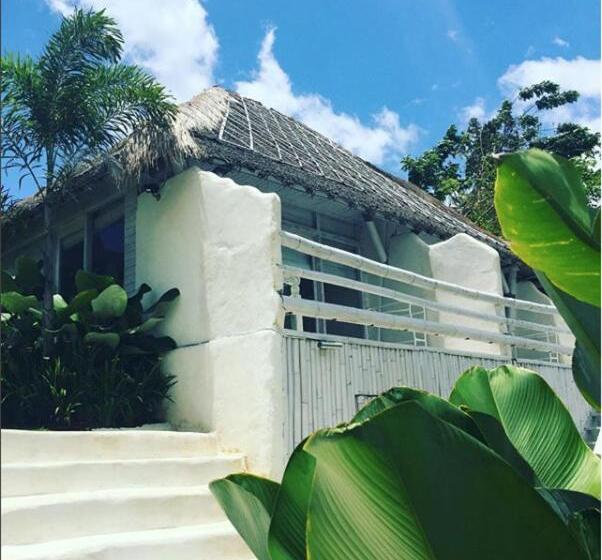 Бунгало Премиум, Gravity Eco Boutique Hotel   Adults Only