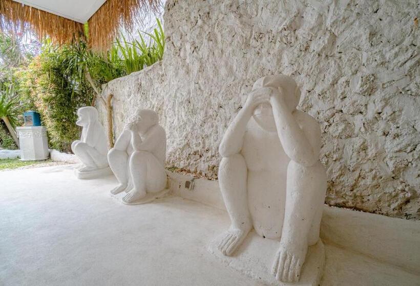 Люкс, Gravity Eco Boutique Hotel   Adults Only