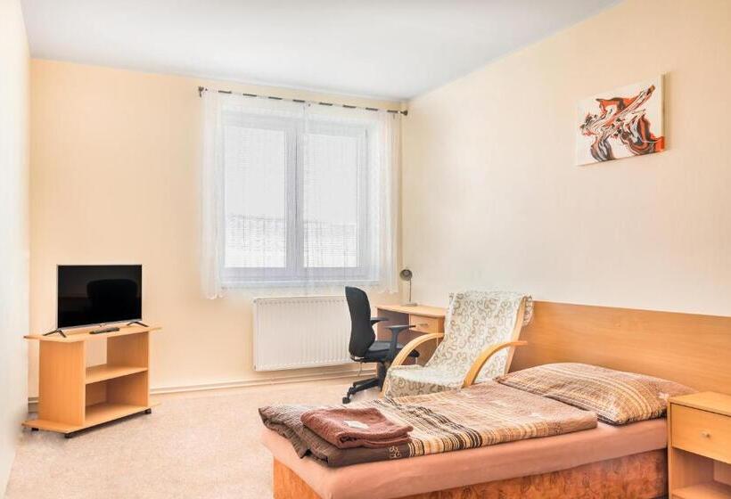 Quarto Estandar Individual, Zannam