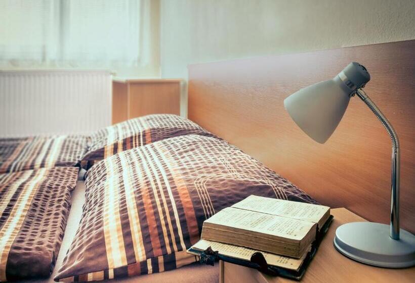 Camera Standard, Zannam