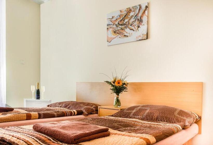 Camera Standard, Zannam