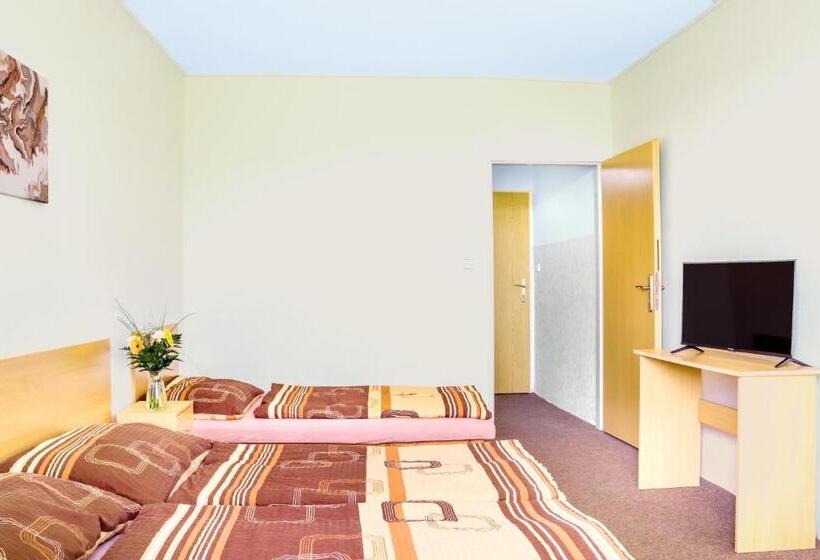 Camera Standard con Terrazza, Zannam