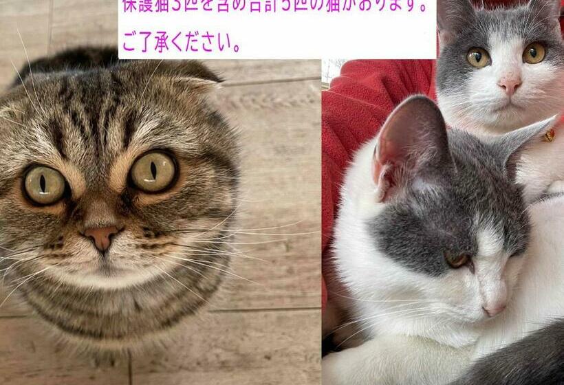 스탠다드 룸, Asama Kogen