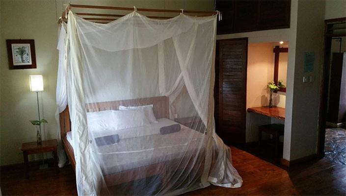 اتاق اکونومی, Surjios Guest House