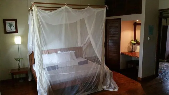 اتاق اکونومی, Surjios Guest House
