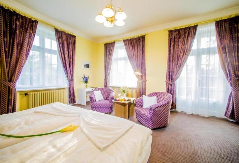 חדר סטנדרט עם מרפסת, Veba