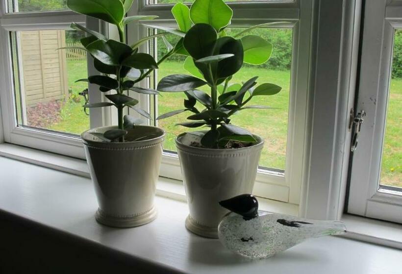 חדר סטנדרט חדר אמבטיה משותף, Birkende Bed And Breakfast