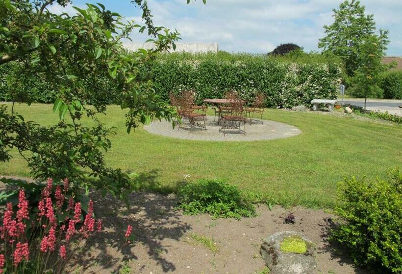 חדר סטנדרט חדר אמבטיה משותף, Birkende Bed And Breakfast