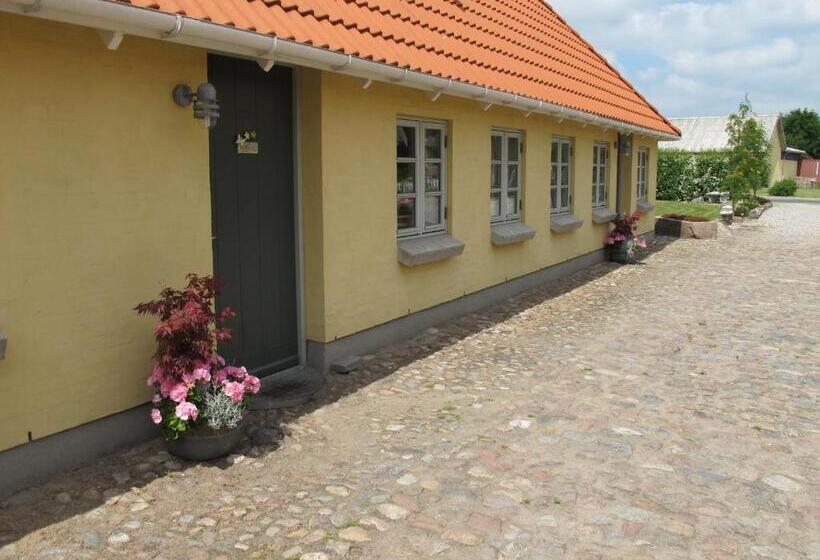 חדר סטנדרט חדר אמבטיה משותף, Birkende Bed And Breakfast