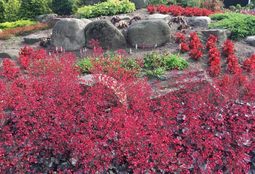 חדר סטודיו סטנדרד, Birkende Bed And Breakfast