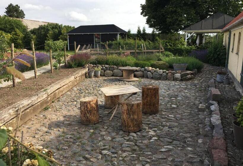 Студия Стандарт, Birkende Bed And Breakfast