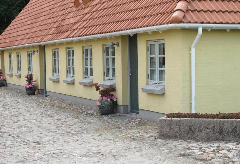 חדר סטנדרט חדר אמבטיה משותף, Birkende Bed And Breakfast