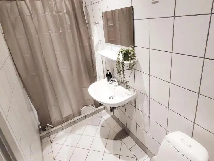 バス共有のスタンダードルーム, Centralhotellet