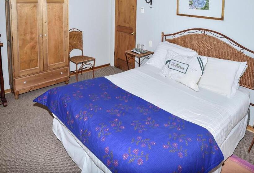 スタンダードルーム, Hostal Cepa Noble