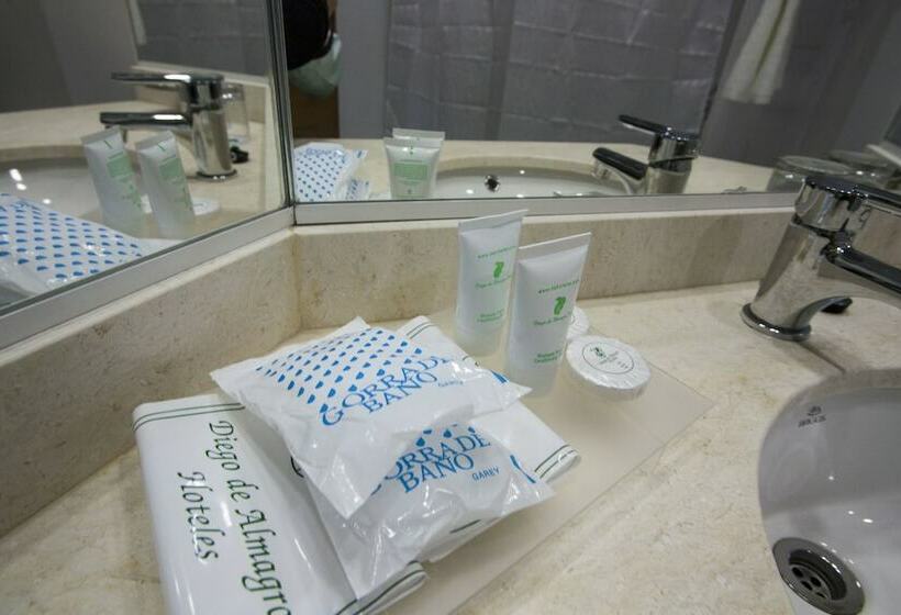 스탠다드 룸, Diego De Almagro Osorno