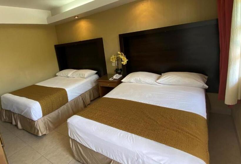 غرفة قياسية, Hacienda Del Viejo