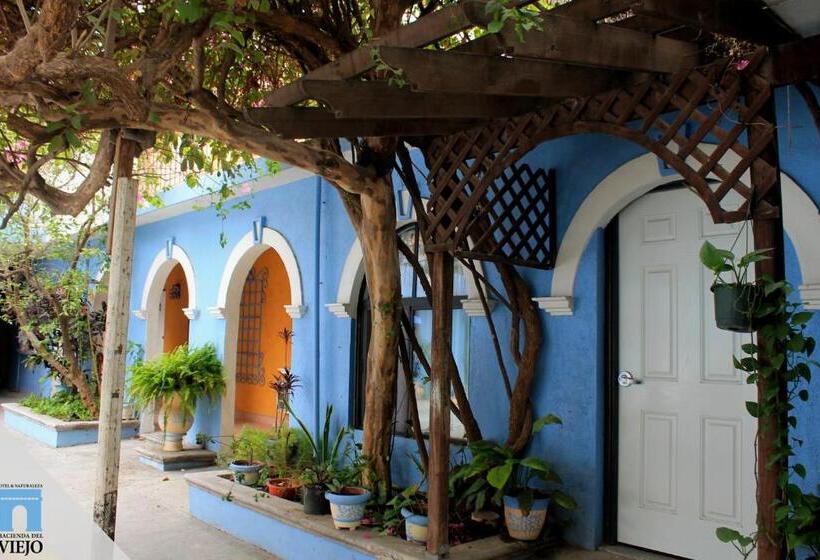 جناح, Hacienda Del Viejo