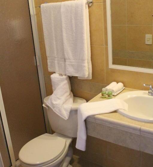 غرفة قياسية مطلّة علي الحديقة, Hacienda Del Viejo