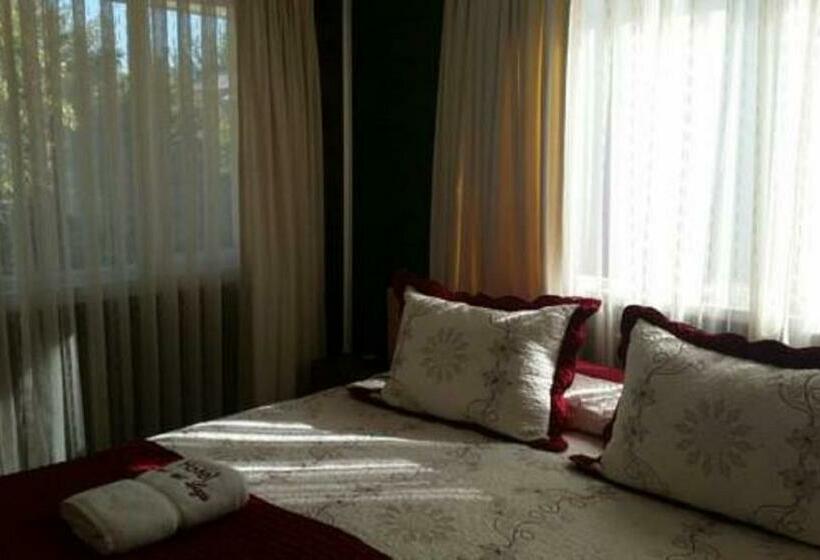 اتاق استاندارد, Puerta Del Lago