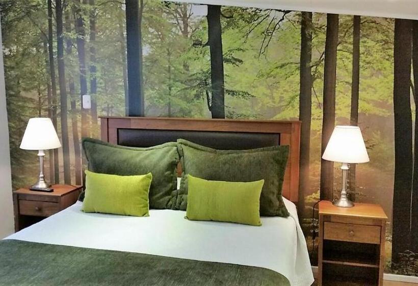 اتاق استاندارد, Puerta Del Lago