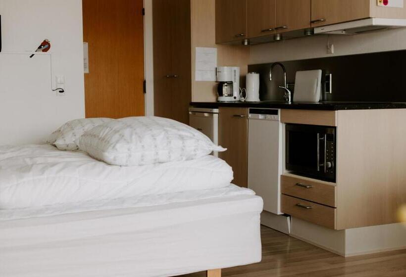 סטודיו סטנדרטי נוף לים, Sandvig Havn