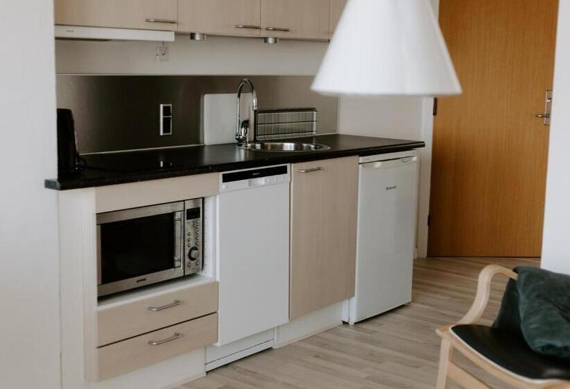 סטודיו סטנדרטי נוף לים, Sandvig Havn