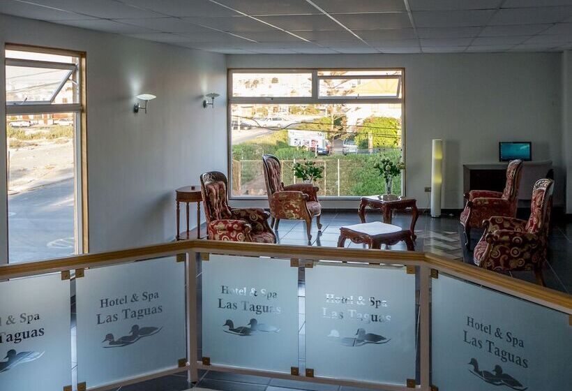 Номер Стандарт Трехместный, & Spa Las Taguas