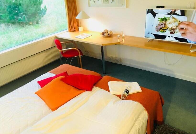 수피리어 싱글 룸, Toppen Af Ebeltoft