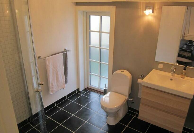 דירת חדר עם טרסה, Tåsinge B&b