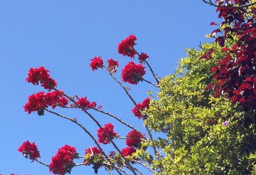Habitación Estàndard Individual, Number5 Guesthouse