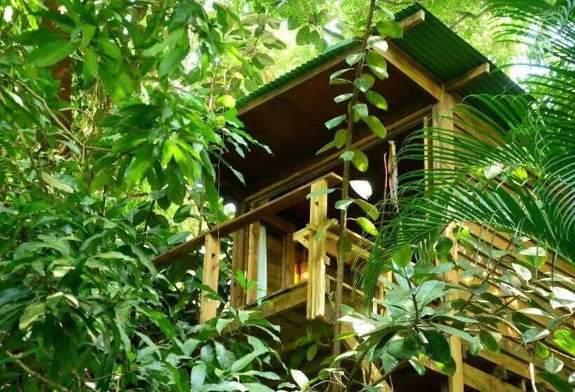 1ベッドルームハウス, Hostel Da Vila Ilhabela