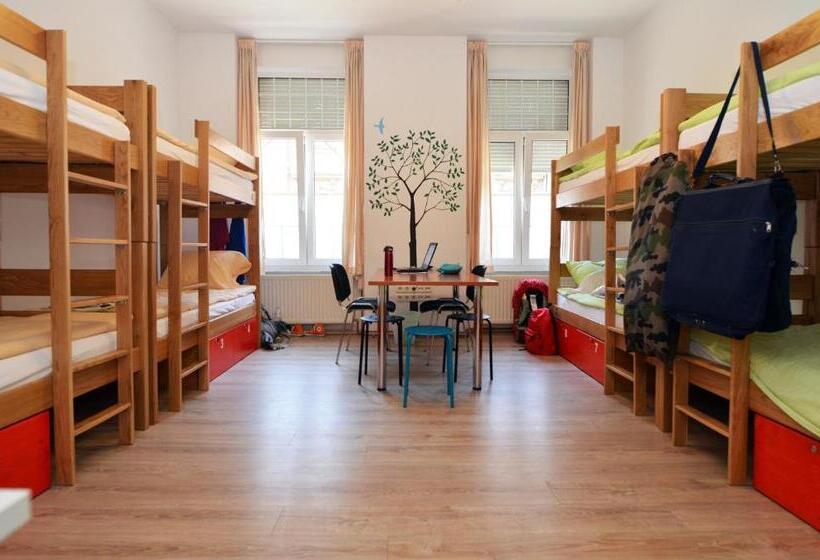 ルームシェアのワンベッド, Hostel Temza