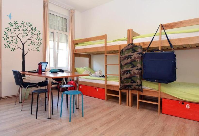 ルームシェアのワンベッド, Hostel Temza