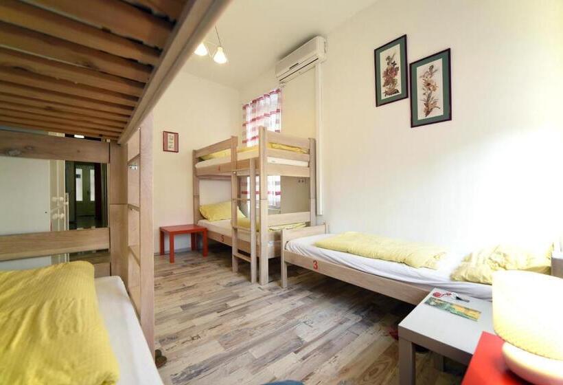 ルームシェアのワンベッド, Hostel Temza