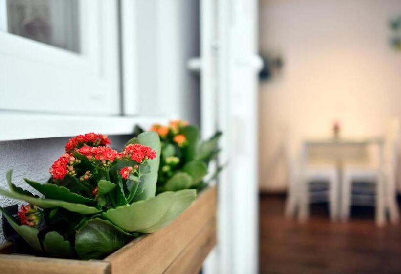 デラックススタジオ, Hostel Temza