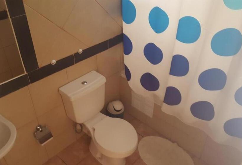 Номер Стандарт, Amaru