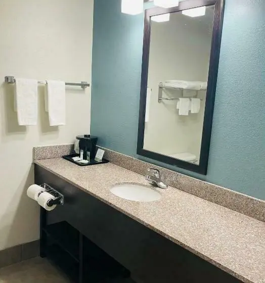 Standard-huone, Sleep Inn & Suites